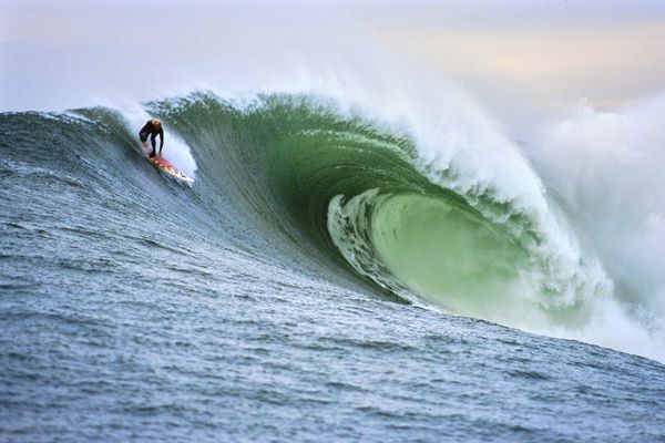 Barney, Water View,  Mavericks