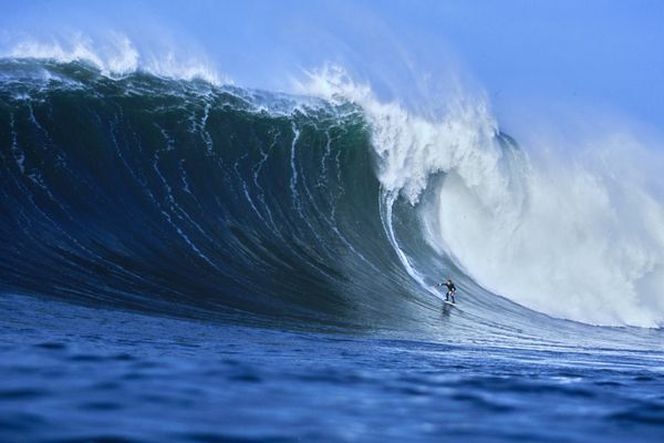 Flea On A Mavericks 2nd Reef Bomb, 2001