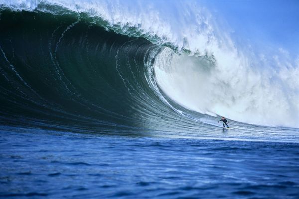 Flea At Mavericks - Whipped Cover