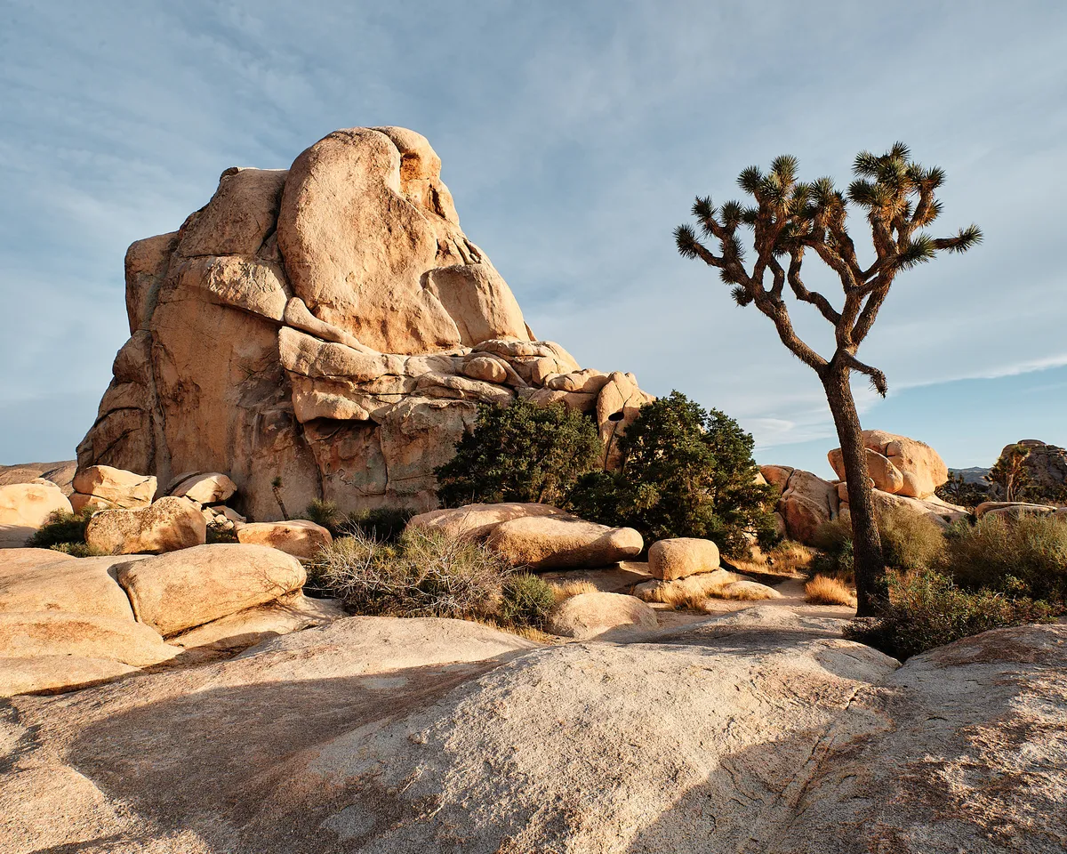 joshua-tree-rock