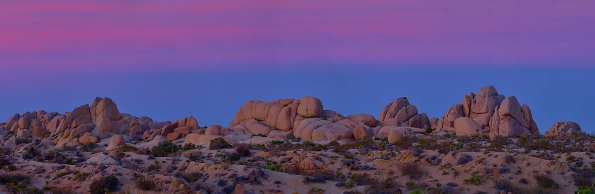 joshua-tree-sunset-panorama