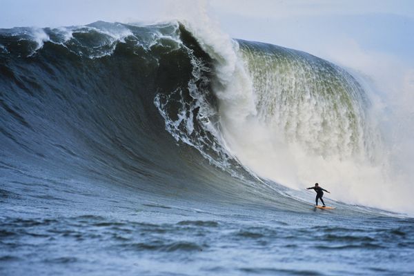 Peter Mel, The Condor