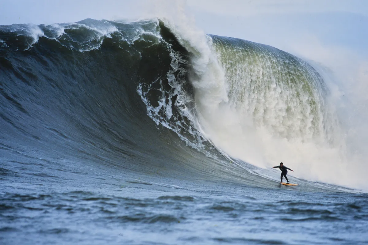 peter-mel-the-condor