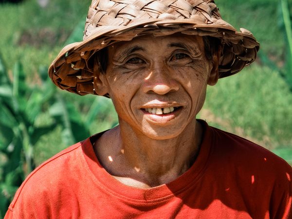 Ubud Rice Farmer