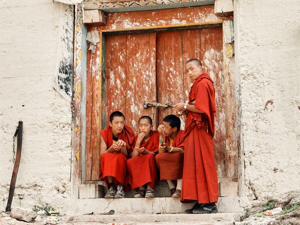 Zhongidan Snack Time