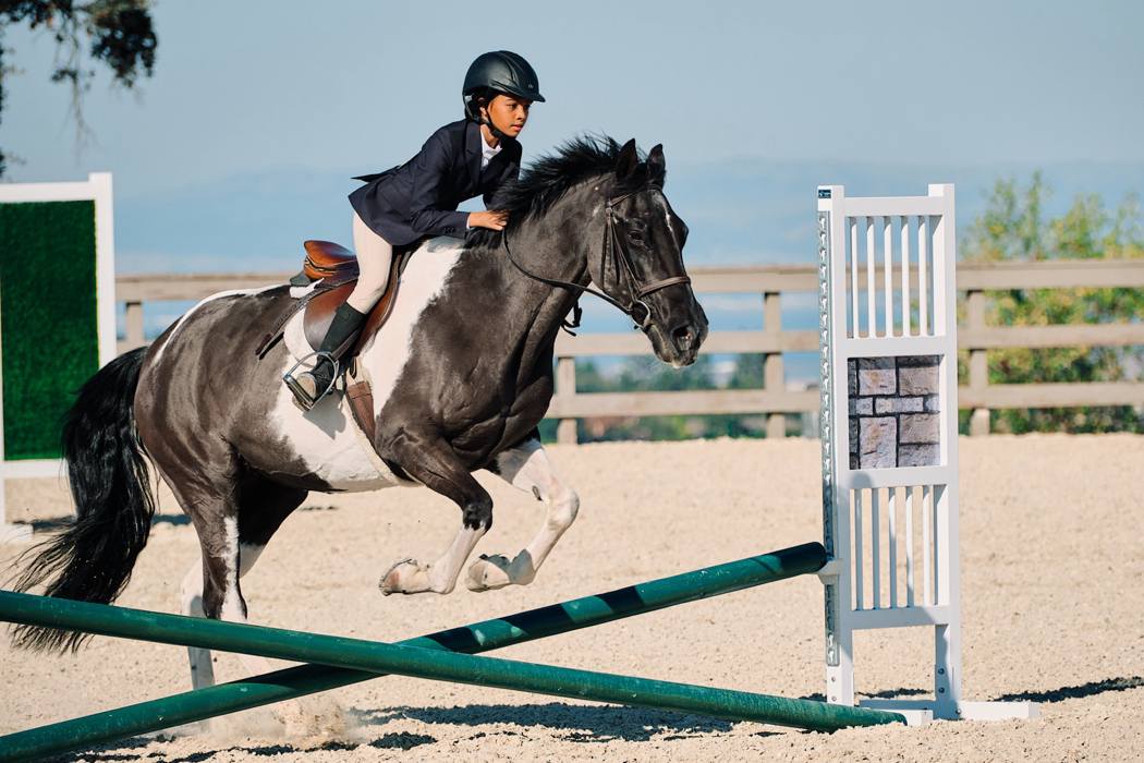 Junior Hunter Jumper At The Woodside Fall Finale