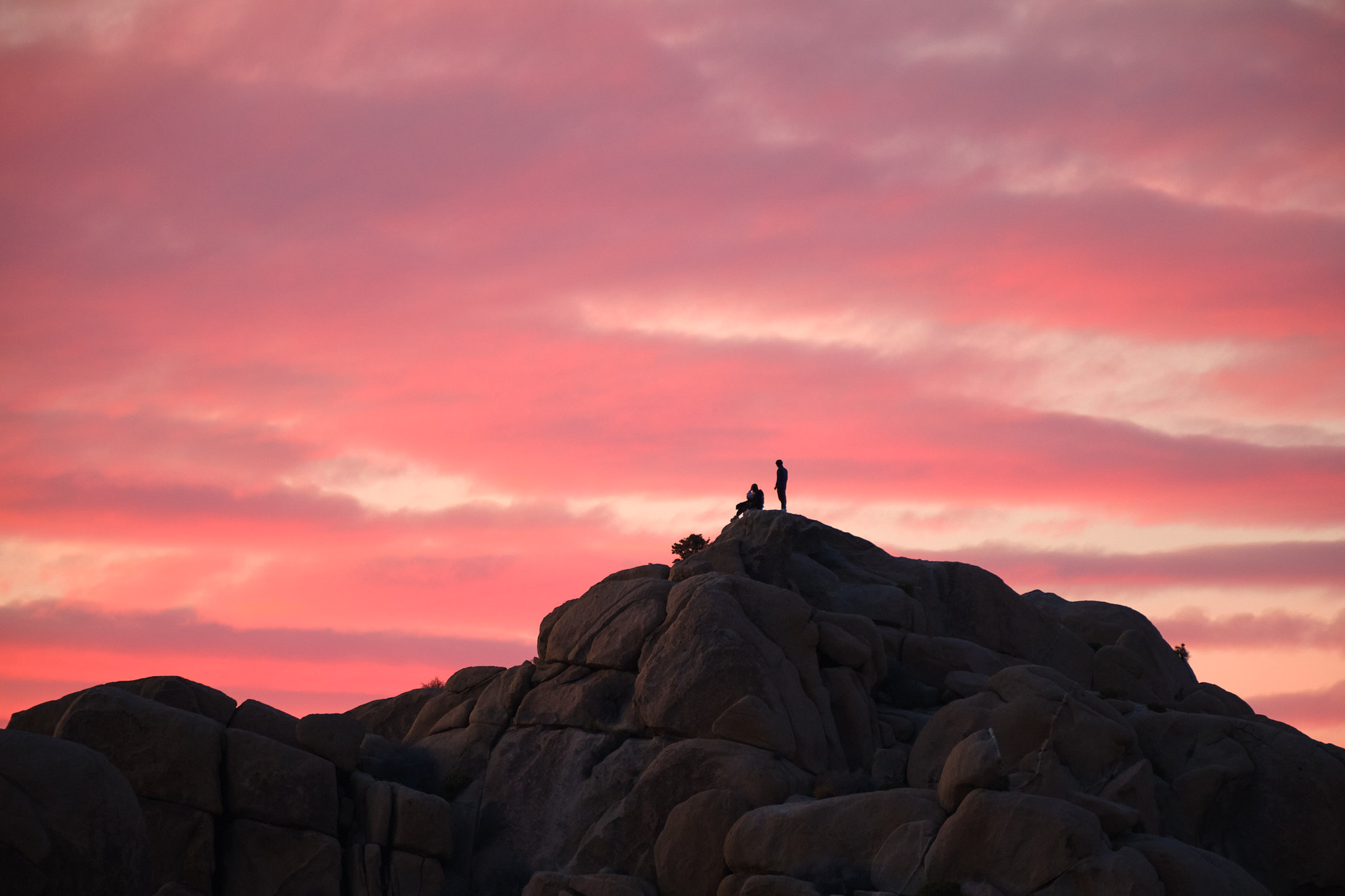 2024-11-28-Joshua tree-FUJIFILMX-H2S-0147-KAI.jpg