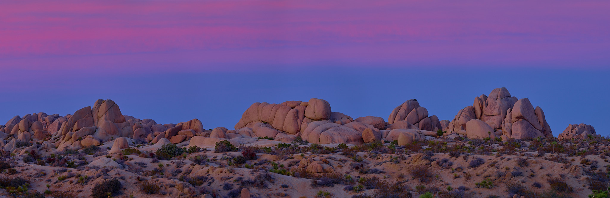 2024-11-28-Joshua tree-FUJIFILMX-H2S-0138-KAI.jpg