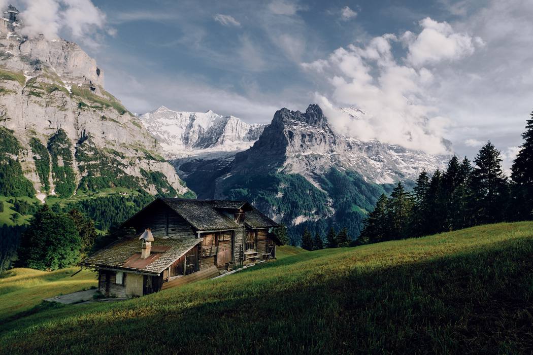 Shed With A View