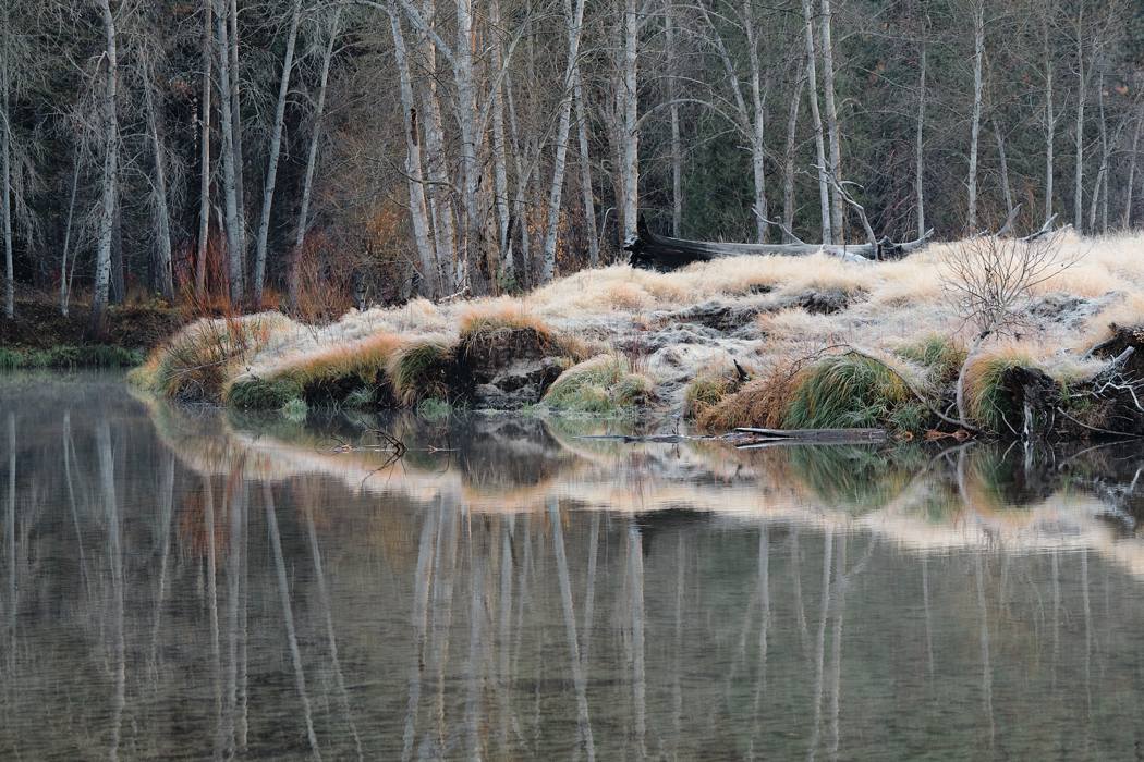 Hoarfrost in Yosemite